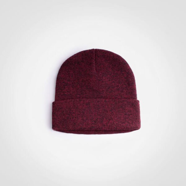 Frost Beanie